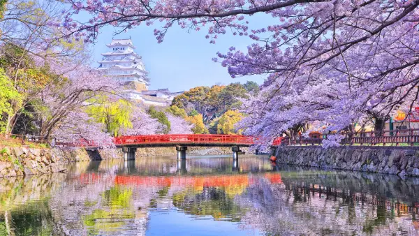 طبیعت زیبای ژاپن