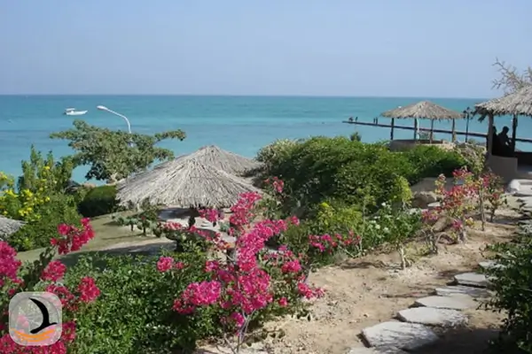 جزیره مرجان کیش