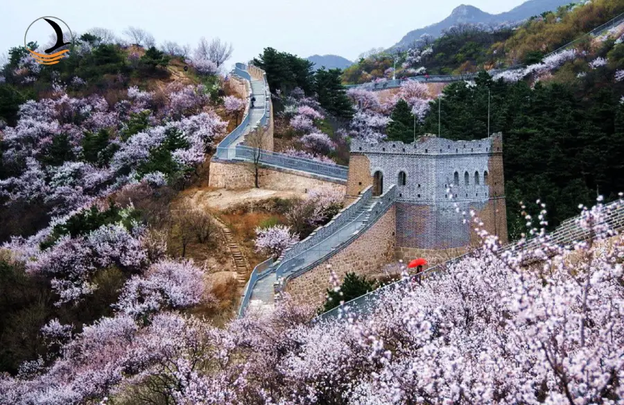 تور چین نوروز 1405